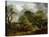 Wooded Landscape-Thomas Gainsborough-Stretched Canvas