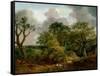 Wooded Landscape-Thomas Gainsborough-Framed Stretched Canvas