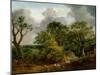 Wooded Landscape-Thomas Gainsborough-Mounted Giclee Print