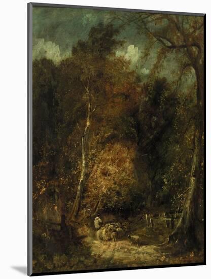 Wooded Landscape-David Cox-Mounted Giclee Print