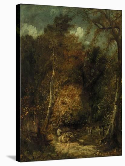 Wooded Landscape-David Cox-Stretched Canvas