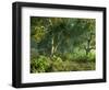 Wooded Meadow-Atelier Sommerland-Framed Art Print