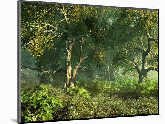 Wooded Meadow-Atelier Sommerland-Mounted Art Print