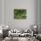 Wooded Meadow-Atelier Sommerland-Stretched Canvas displayed on a wall