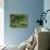 Wooded Meadow-Atelier Sommerland-Art Print displayed on a wall