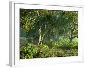 Wooded Meadow-Atelier Sommerland-Framed Art Print