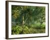 Wooded Meadow-Atelier Sommerland-Framed Art Print