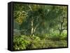 Wooded Meadow-Atelier Sommerland-Framed Stretched Canvas