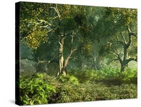 Wooded Meadow-Atelier Sommerland-Stretched Canvas