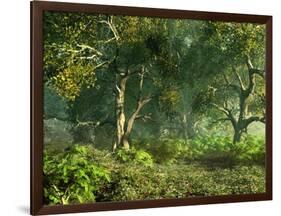 Wooded Meadow-Atelier Sommerland-Framed Art Print