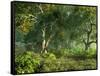Wooded Meadow-Atelier Sommerland-Framed Stretched Canvas