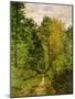 Wooded Path, 1865-Claude Monet-Mounted Premium Giclee Print