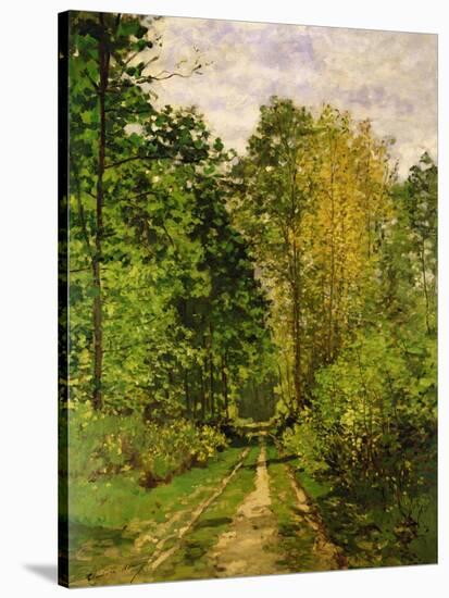 Wooded Path, 1865-Claude Monet-Stretched Canvas