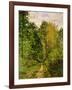 Wooded Path, 1865-Claude Monet-Framed Giclee Print