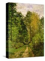 Wooded Path, 1865-Claude Monet-Stretched Canvas