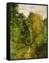 Wooded Path, 1865-Claude Monet-Framed Stretched Canvas