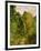 Wooded Path, 1865-Claude Monet-Framed Giclee Print