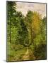 Wooded Path, 1865-Claude Monet-Mounted Premium Giclee Print