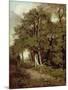 Wooded Path-John Constable-Mounted Giclee Print