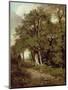 Wooded Path-John Constable-Mounted Premium Giclee Print
