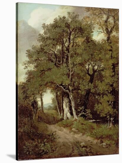 Wooded Path-John Constable-Stretched Canvas