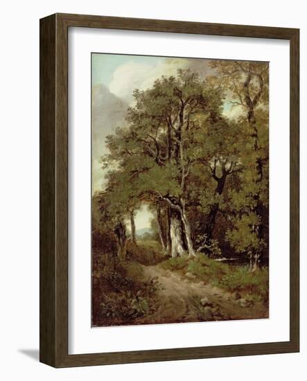 Wooded Path-John Constable-Framed Giclee Print