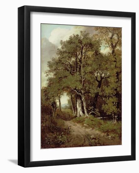 Wooded Path-John Constable-Framed Giclee Print