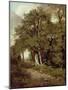 Wooded Path-John Constable-Mounted Giclee Print