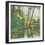 Wooded Pond-John Rufo-Framed Premium Giclee Print