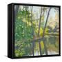 Wooded Pond-John Rufo-Framed Stretched Canvas