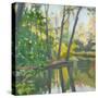 Wooded Pond-John Rufo-Stretched Canvas