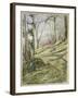 Wooded Slope with Four Figures-John William Inchbold-Framed Giclee Print