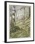 Wooded Slope with Four Figures-John William Inchbold-Framed Giclee Print