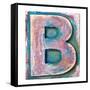 Wooden Alphabet Block, Letter B-donatas1205-Framed Stretched Canvas