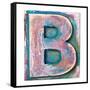 Wooden Alphabet Block, Letter B-donatas1205-Framed Stretched Canvas