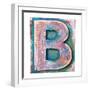 Wooden Alphabet Block, Letter B-donatas1205-Framed Premium Giclee Print