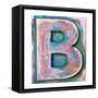 Wooden Alphabet Block, Letter B-donatas1205-Framed Stretched Canvas