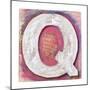 Wooden Alphabet Block, Letter Q-donatas1205-Mounted Premium Giclee Print