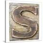 Wooden Alphabet Block, Letter S-donatas1205-Stretched Canvas