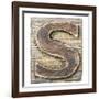 Wooden Alphabet Block, Letter S-donatas1205-Framed Art Print