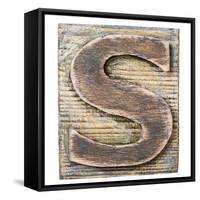 Wooden Alphabet Block, Letter S-donatas1205-Framed Stretched Canvas