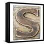 Wooden Alphabet Block, Letter S-donatas1205-Framed Stretched Canvas