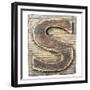 Wooden Alphabet Block, Letter S-donatas1205-Framed Premium Giclee Print