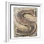 Wooden Alphabet Block, Letter S-donatas1205-Framed Premium Giclee Print