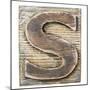 Wooden Alphabet Block, Letter S-donatas1205-Mounted Premium Giclee Print