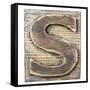 Wooden Alphabet Block, Letter S-donatas1205-Framed Stretched Canvas