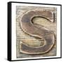 Wooden Alphabet Block, Letter S-donatas1205-Framed Stretched Canvas