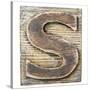 Wooden Alphabet Block, Letter S-donatas1205-Stretched Canvas