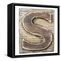 Wooden Alphabet Block, Letter S-donatas1205-Framed Stretched Canvas