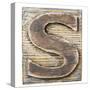 Wooden Alphabet Block, Letter S-donatas1205-Stretched Canvas